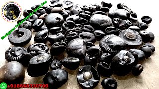 Shaligram  types of shaligram stone [upl. by Duahsar971]