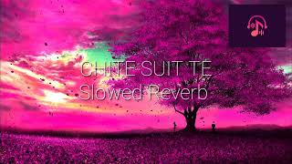 Chite Suit Te  Geeta Zaildar  Punjabi song  SlowedReverb [upl. by Takeshi]