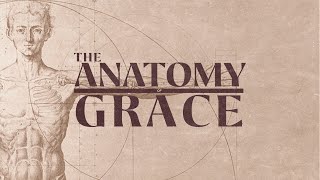 The Anatomy of Grace  Sunday September 8th 2024 [upl. by Brooking]