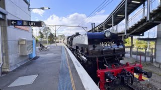 NSWGR 6029 NSWDR 4916 4201 and 4501 Pass Through Wentworth Falls Station  THNSW Bathurst 2024 [upl. by Mccall]