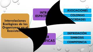 Componentes bióticos y abióticos de un ecosistema [upl. by Thurber962]