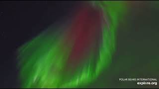 Beautiful Northern Lights Aurora Borealis Display x2 Speed 10112024 exploreorg [upl. by Konyn985]