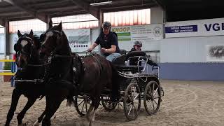 Fahrturnier Emlichheim 26102024 Euregio Cup [upl. by Rickey374]