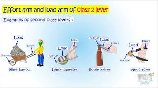 Lever  Effort arm and load arm of a Lever [upl. by Artened380]