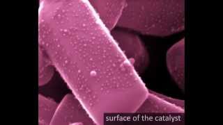 Catalyst for Water Splitting Hydrogen Gas derived from Water  Made by Laser Ablation in Pure Water [upl. by Frances961]