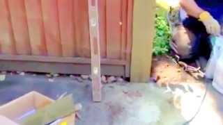 Replace Rotten Gate Posts into same Concrete Castings 6x6 [upl. by Nolyak]