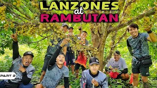 P2Rambutan at Lanzones  EP1090 [upl. by Dietz]