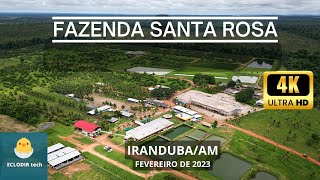 FAZENDA SANTA ROSA  IRANDUBA  AMAZONAS  fazendasantarosa iranduba amazonas amazônia [upl. by Eibor848]