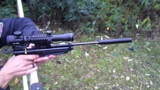 CROSMAN 2250b TESTING NEW SCOPE RATCATCHER [upl. by Ytomit]