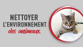 Quel produit utiliser pour nettoyer lenvironnement de vos animaux [upl. by Sayette]