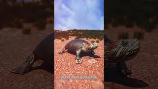 LA TORTUGA HACE ESTO sabiasque arcade sabias humor shorts CREDITOS ZACK D FILMS [upl. by Arenahs376]