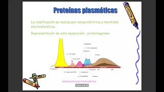 PROTEINAS PLASMÁTICAS [upl. by Tran131]