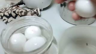 How to make salty egg [upl. by Prudhoe]