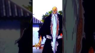 The Best Bankai So Far  Zanka no Tachi [upl. by Aneehta324]