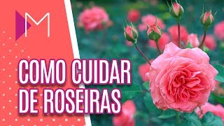 Como cuidar de ROSEIRAS  Mulheres 06022020 [upl. by Dachy]