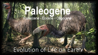 The Evolution of Life part 11  Paleogene [upl. by Aleahc236]