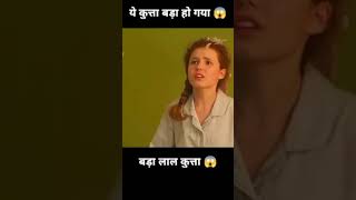 Ek lal colour kutta jo bada hu gya 😮 part 1 shortvideo shortvideoformat dog shorts movie [upl. by Leff197]