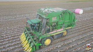 Just another Cotton Picking Video from The Farmhand Mike YouTube Channel [upl. by Faso]