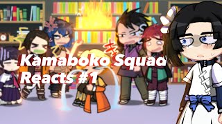 Kamaboko squad react to my Fyp 1 Phxtographer [upl. by Kelila]