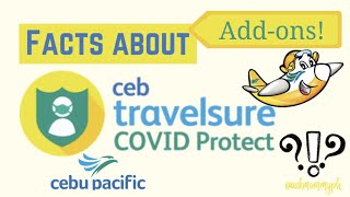 Facts about CEBTravelSure [upl. by Mcripley]