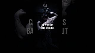 Full Calisthenics Back Workout‼️calisthenics [upl. by Anitnas]