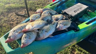 Kayak CREEK CRAPPIE Fishing With Jig amp Bobber 🎣 SLAB CREEK CRAPPIE‼️ [upl. by Mireielle477]