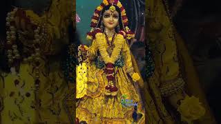 Ye to bata do barsane waliradha radheshyam radhekrishna radheradhe trendinglove song sorts [upl. by Kline168]