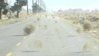 Tumbleweed Invasion [upl. by Cusick61]