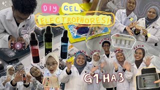 HA3G1Gel Electrophoresis DIY20242025 [upl. by Merfe815]