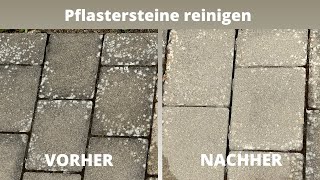 Pflastersteine reinigen  Flechten Moos amp Schwarzalgen von Terrassen und Steinplatten entfernen [upl. by Daegal]