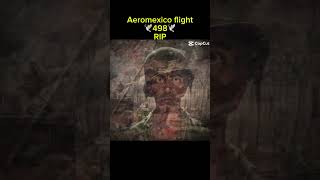 Aeromexico flight 498 rest in peace 🕊️🕊️🕊️aviation shorts planecrash [upl. by Amat]