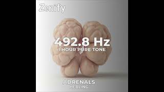 4928 Hz Pure Tone  Adrenals Healing [upl. by Suivatnad]