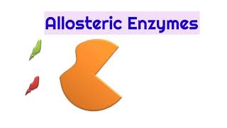 what are Allosteric enzymesDefinition amp Important features of Allosteric enzymesModulators amp types [upl. by Ahsinirt]