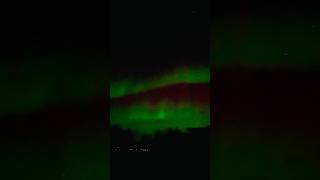 Beautiful Northern Lights are amazing shorts [upl. by Erlandson]