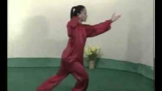 Tai chi 48 form complete demonstration [upl. by Airotcivairam]