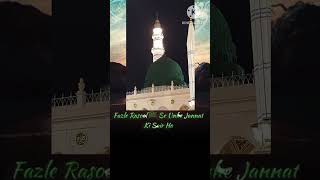 Sabir Raza Azhari Naat Shareef Status [upl. by Amelita]