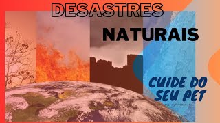 Desastres Naturais e meu pet [upl. by Emmerie]