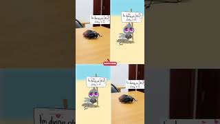 POV SAVING MOSQUITO video parody of drawforfunyt robloxedit roblox memes funny [upl. by Tommi]