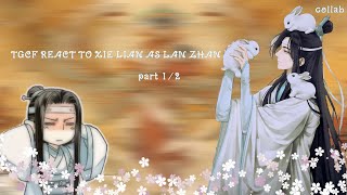 TGCF react to Xie Lian as Lan Zhan ½ 🇺🇲 [upl. by Haimes]