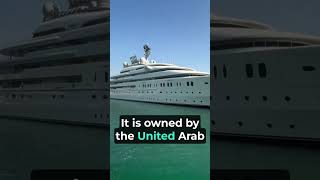 You cant believe how much this yacht costs [upl. by Adeuga124]