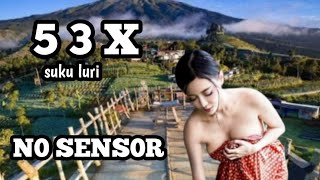 SUKU LURI NO SENSOR ‼️ SEPERTI APA FAKTA KEHIDUPAN SEJARAH ADAT BUDAYA CERITA RAKYAR 21 April 2024 [upl. by Atwekk]