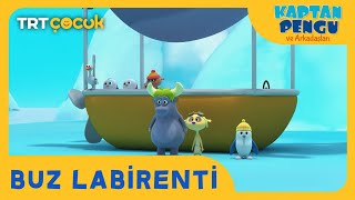 Kaptan Pengu ve Arkadaşları  Buz Labirenti [upl. by Reitman833]