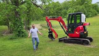 GroundHog ZH40D Dead Walnut Tree Removal [upl. by Mayhew181]