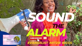 Powerful Song called  Sound The Alarm By Mitzie Biggs [upl. by Lajes]