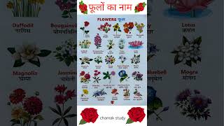 Flowers Name in English and Hindi  Phoolon ke naam  english shorts [upl. by Norwood]