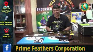 PRIME FEATHERS MISSION WITH COO CARLO NICOLAS amp OWNER OF CARLO TARI MAKER PRIME FEATHERS ENDORSER [upl. by Yraunaj223]