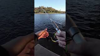 New PB 55cm Tailor on the CID Shiverstick 95 [upl. by Landbert572]