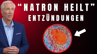 Natron EXPERTEN enthüllen schockierende Wahrheit über Entzündungen [upl. by Trauts]