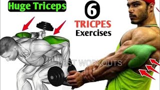 6 Triceps Workout  Triceps Workout at Gym  Triceps Workout at Gym For Beginners  Fitness Coach [upl. by Auj47]