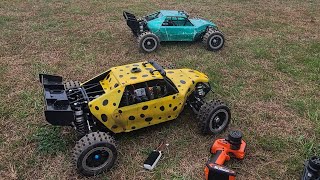 WERE BACK🥳🥳 RACE DAY LOSI DBXLE20 VS LOSI DBXLE20 12S CARLOS THE 🐆 BIG MIKE RETURNS [upl. by Ylecara613]